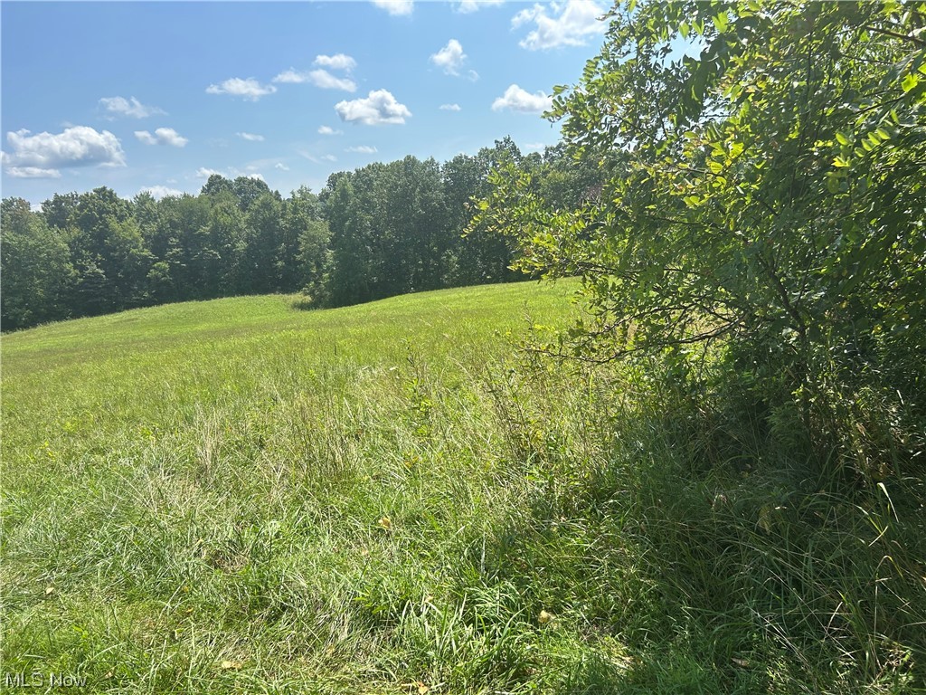 Dozer Ridge Road Blue Rock, OH 43720 - Photo 2 of 20