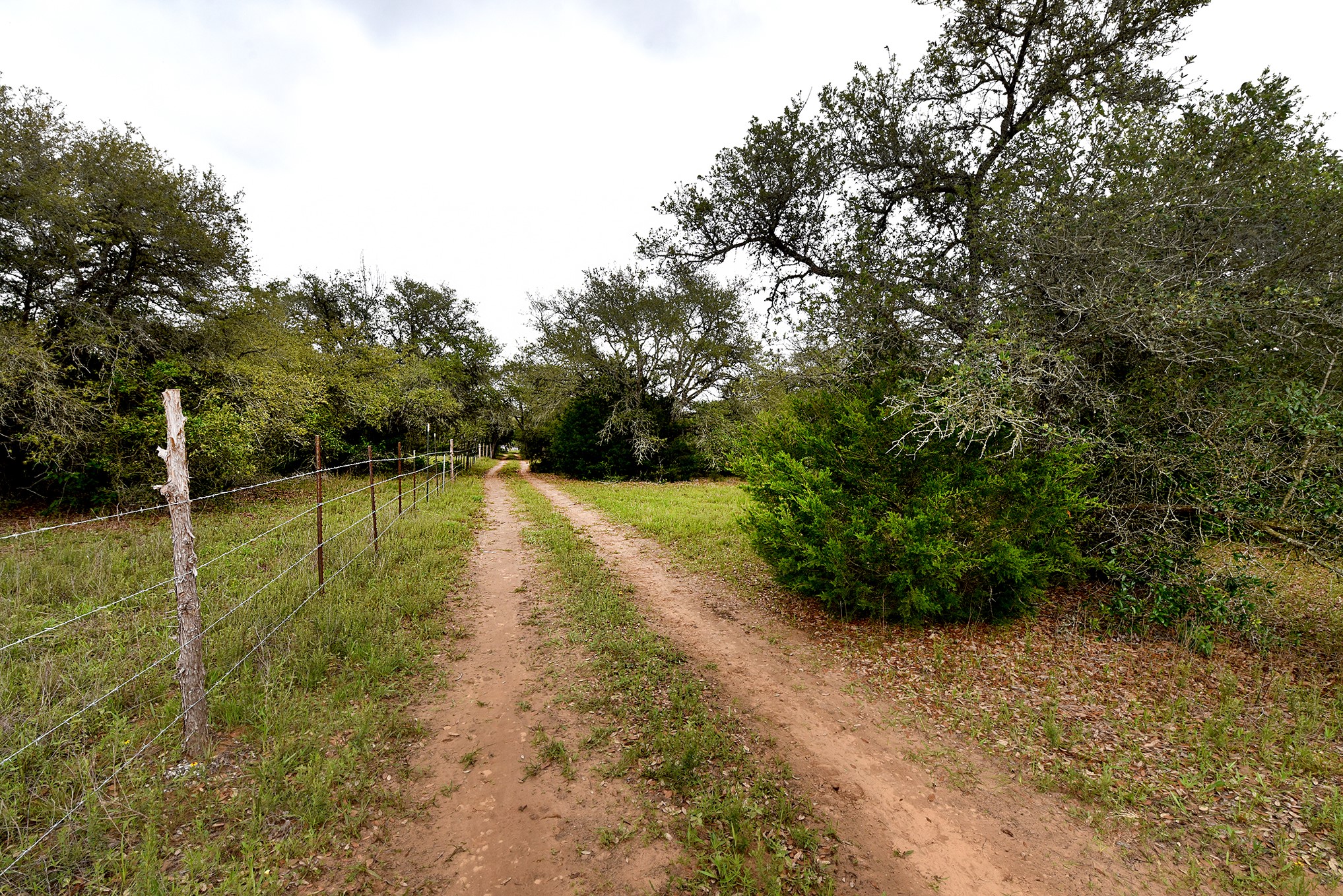 10 East Frontage Road Weimar, TX 78962 - Photo 19 of 30 a view of a lake with large trees