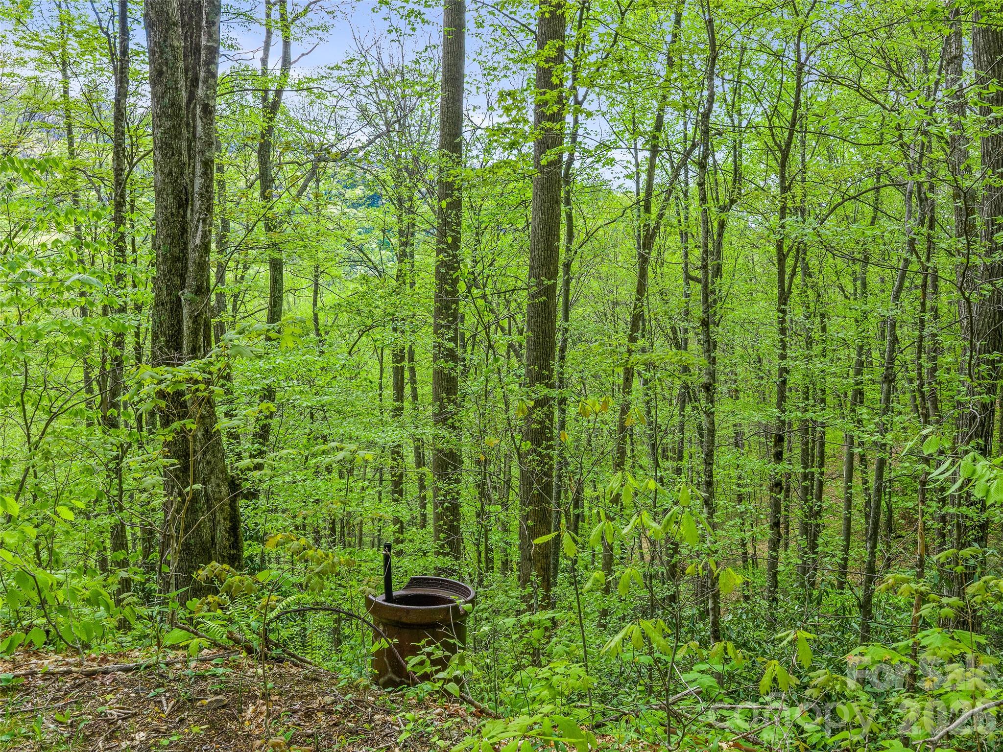 1161 Deep Gap Road Burnsville, NC 28714 - Photo 13 of 14