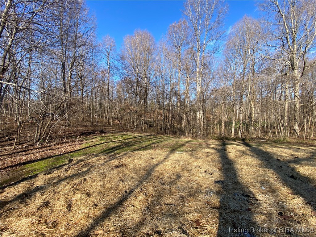845 Hunter's Trace Road Palmyra, IN 47164 - Photo 32 of 43 Gallery Image 32