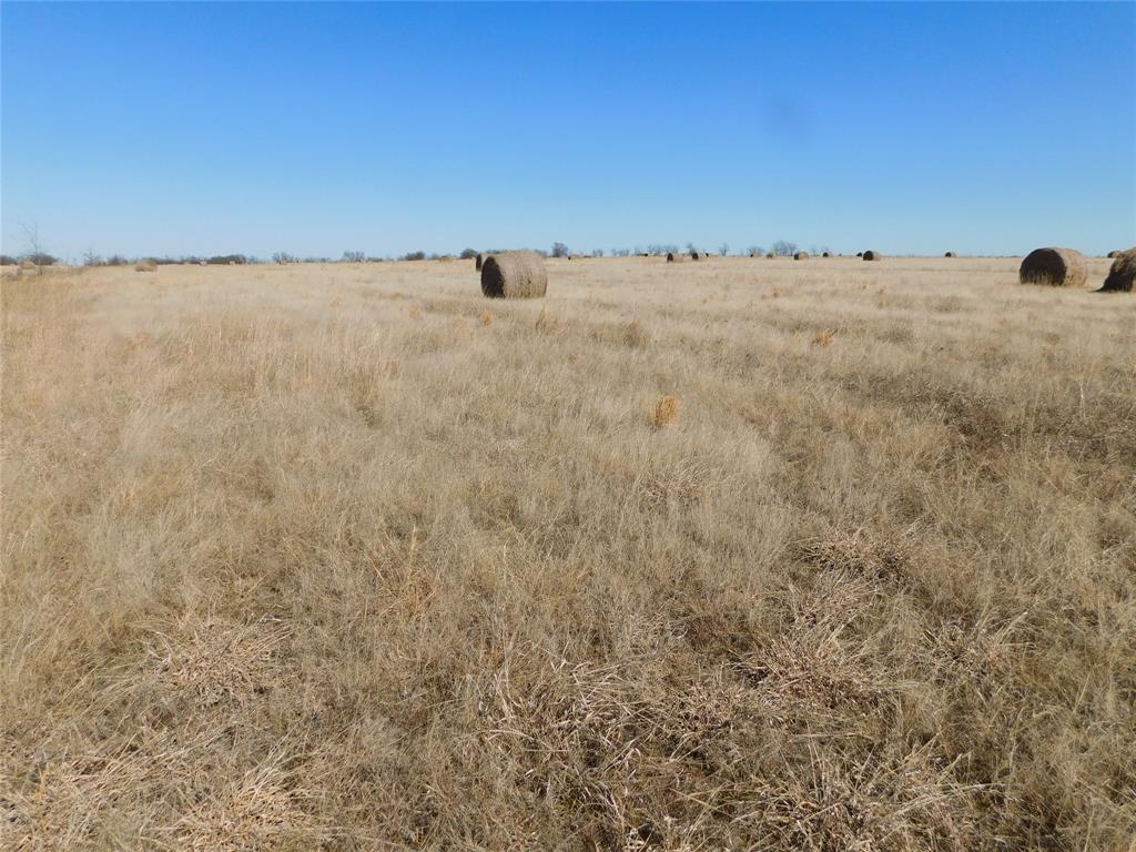 a view of a dry field with a dry yard