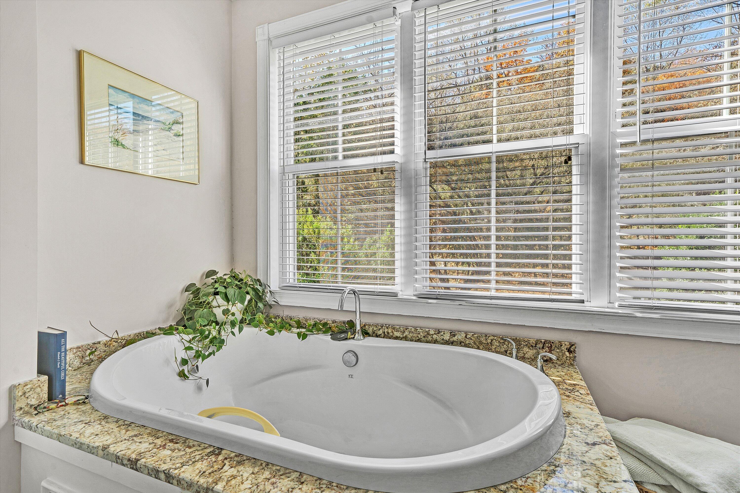 400 Walnut Road Salem, VA 24153 - Photo 53 of 97 a bath tub sitting in a bathroom next to a window