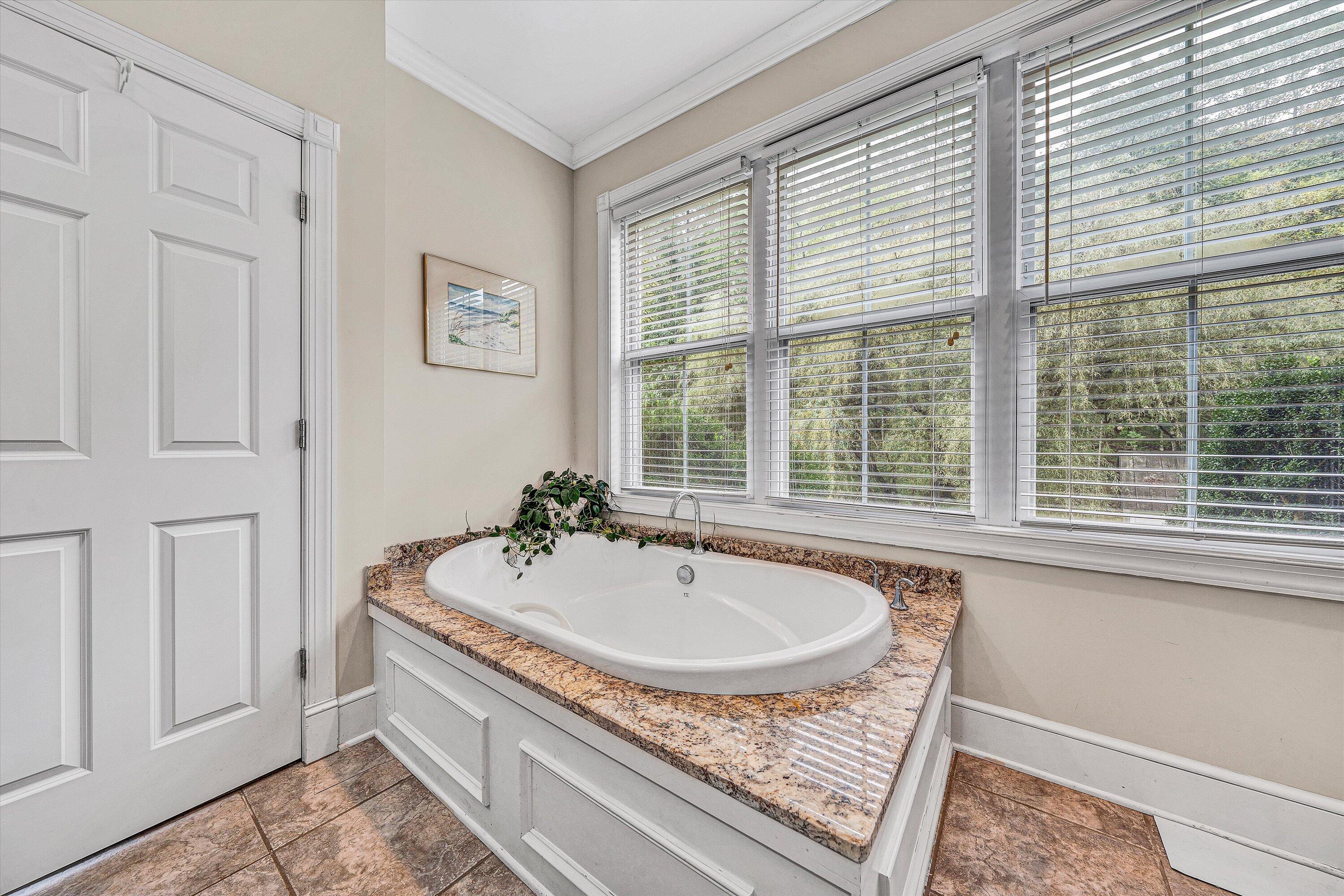 400 Walnut Road Salem, VA 24153 - Photo 56 of 97 a bathroom with a tub a sink and a window