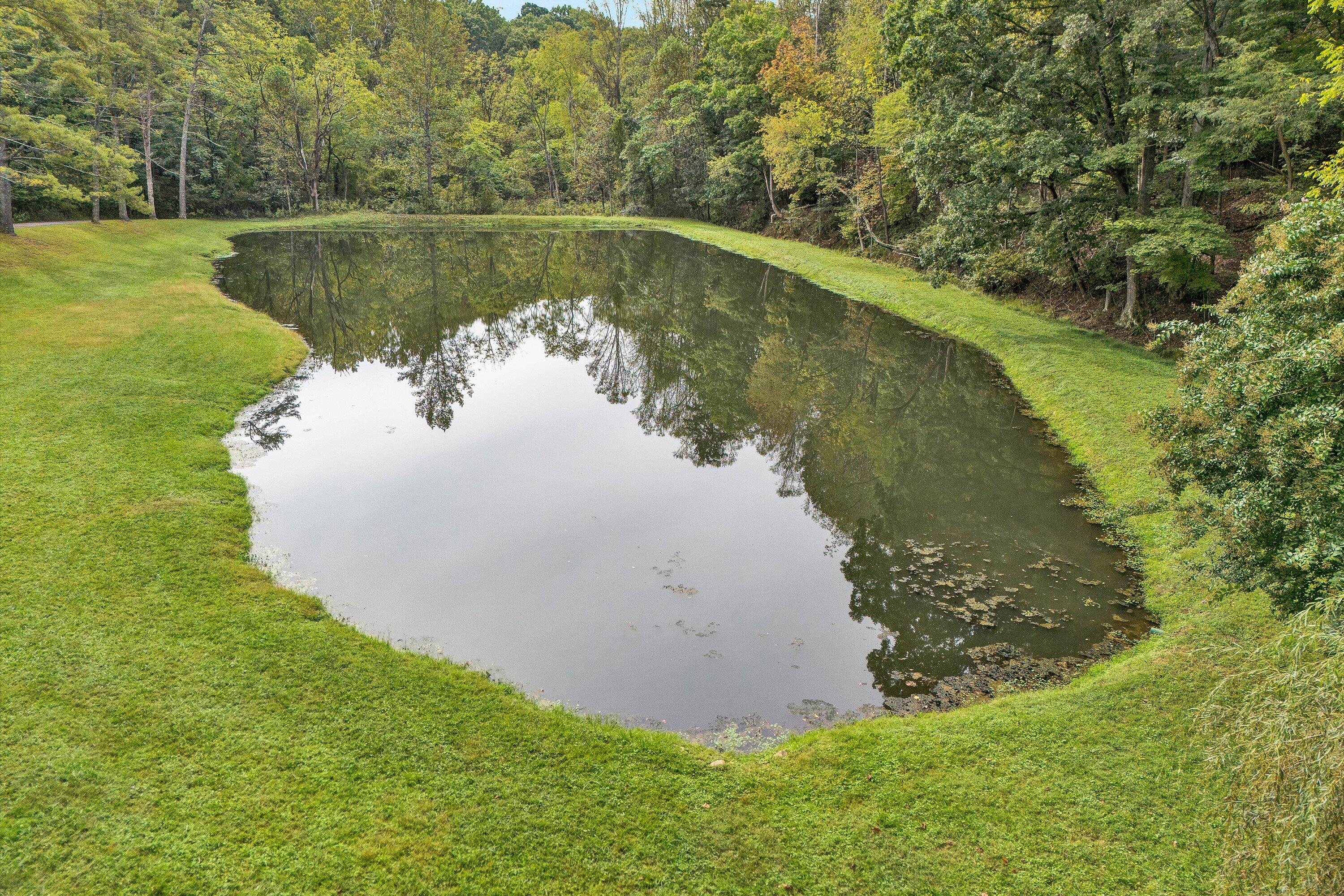 400 Walnut Road Salem, VA 24153 - Photo 72 of 97 a view of a lake from a yard