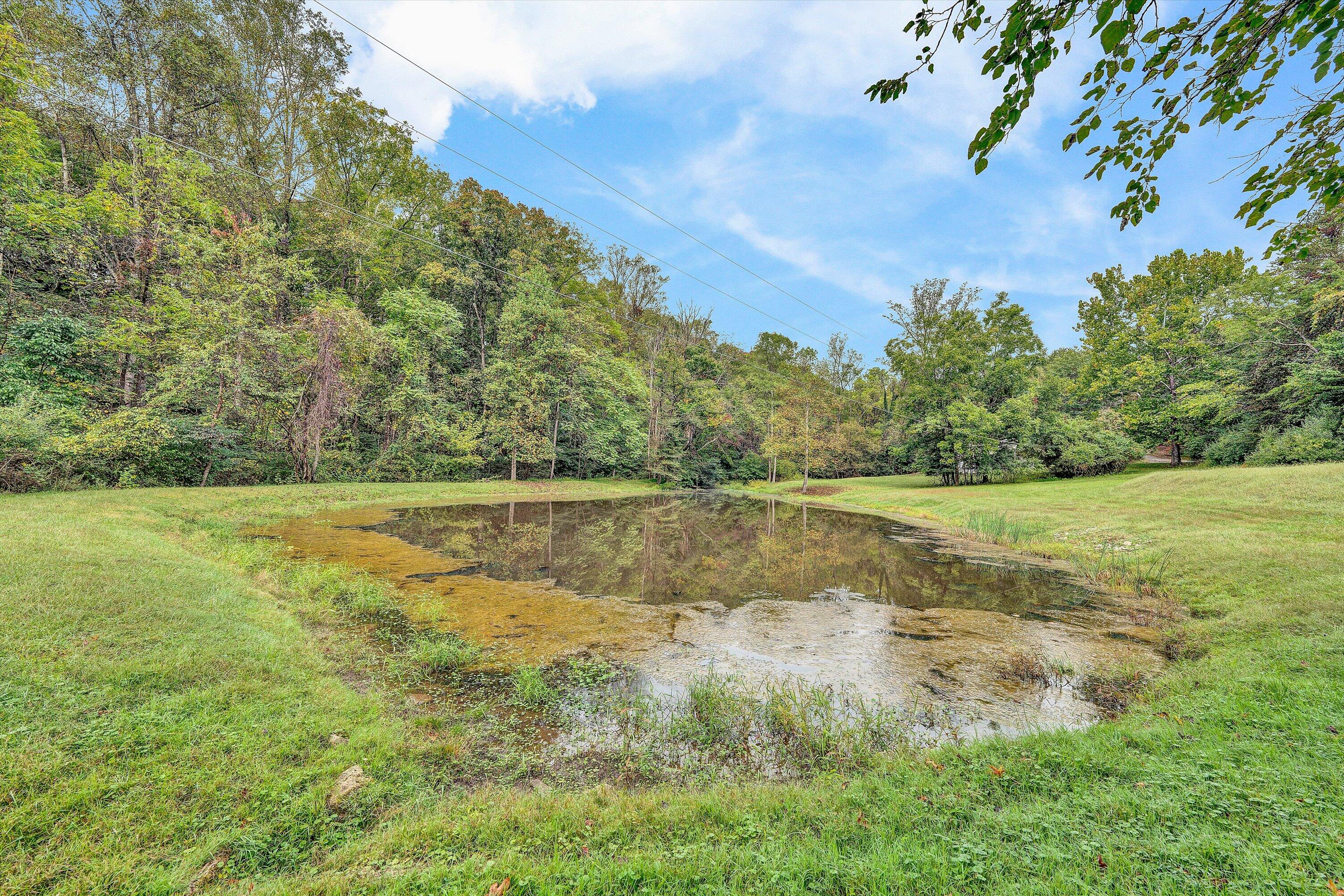 400 Walnut Road Salem, VA 24153 - Photo 79 of 97 a view of swimming pool with a yard