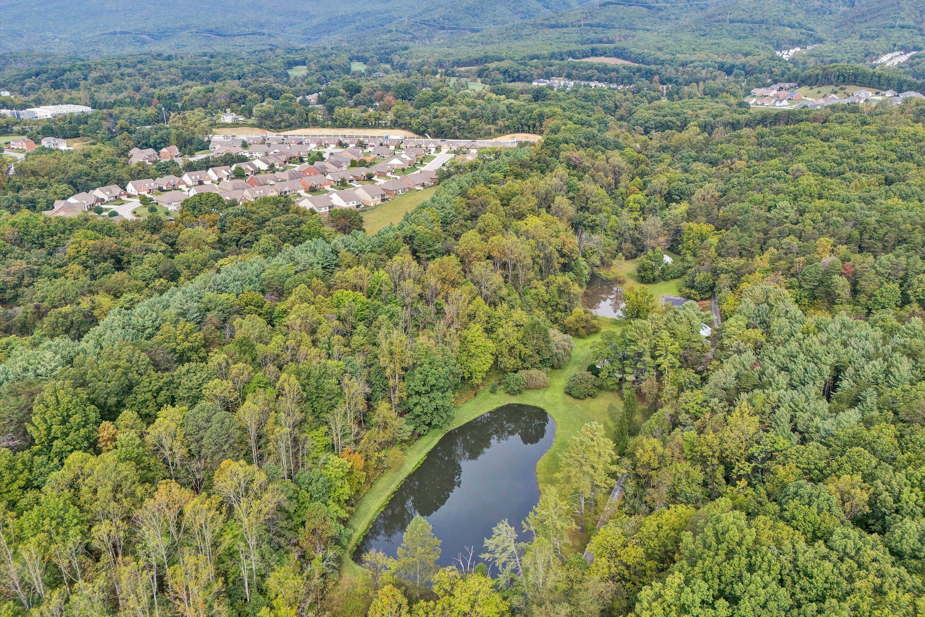 400 Walnut Road Salem, VA 24153 - Photo 87 of 97 a view of a yard with plants and large trees