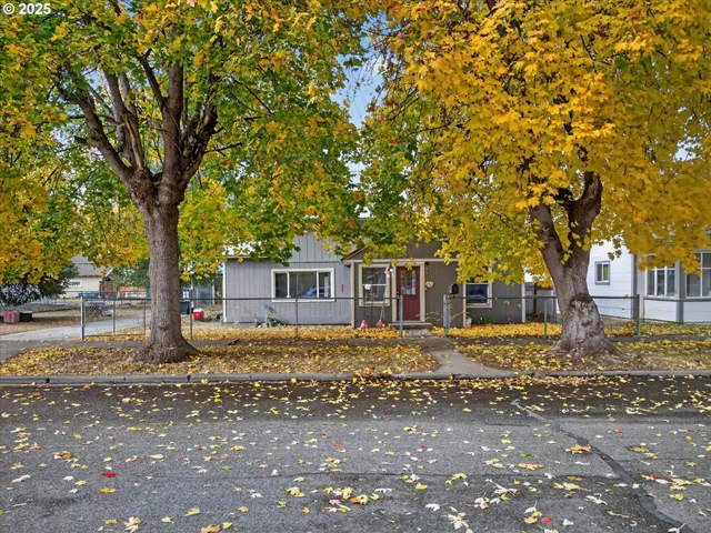 a tree in front of a white house