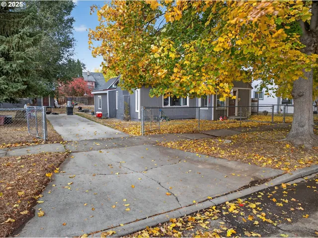 a view of a yard with a tree