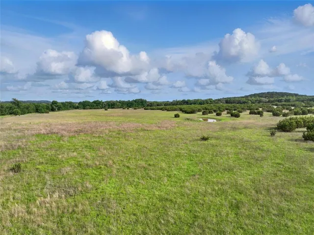 a view of a pathway both side of grassy field with shrub