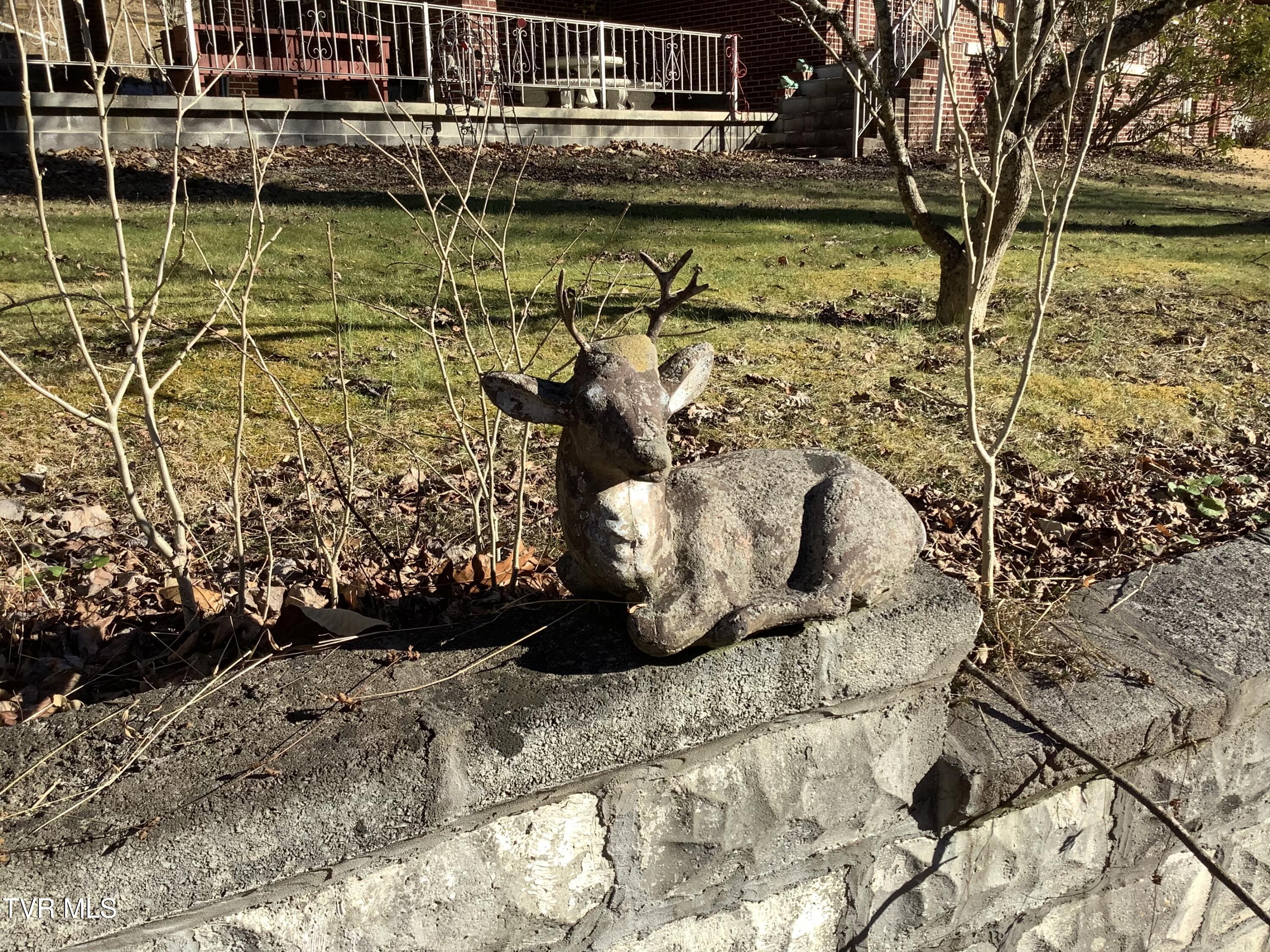 5610 Powell River Road Norton, VA 24273 - Photo 27 of 74 IMG_0394