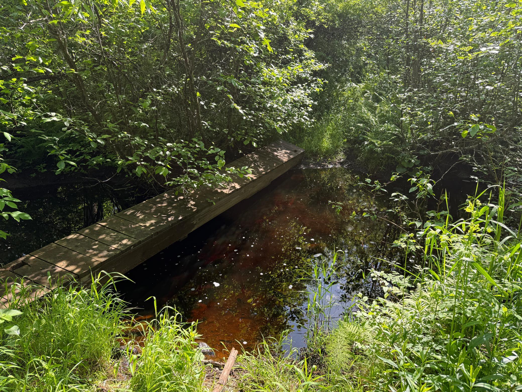 Tbd Arnold Road Duluth, MN 55803 - Photo 17 of 35