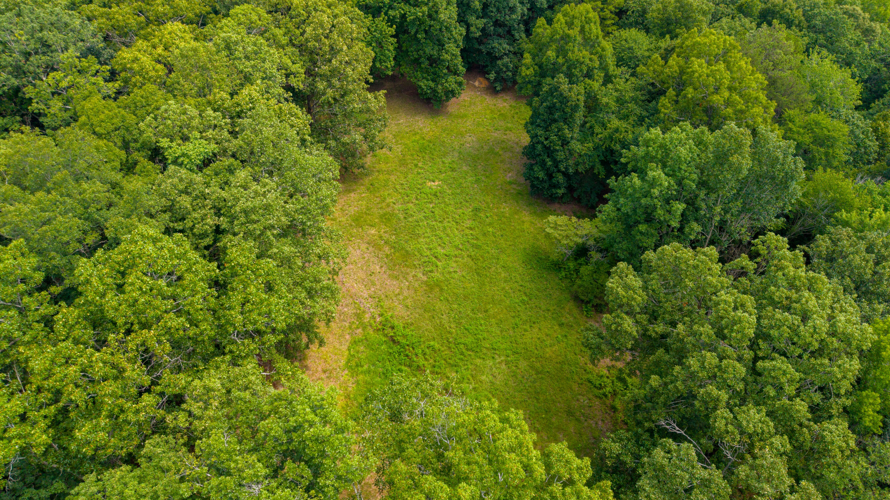 3270 Lake Kathy Road Tunnel Hill, GA 30755 - Photo 40 of 51 Pasture