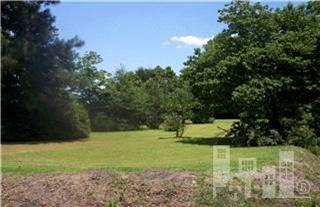 466 North Williams Road Kenansville, NC 28518 - Photo 4 of 5 Additional Photo