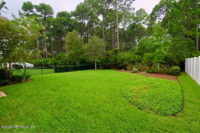 a view of green field with trees in the background