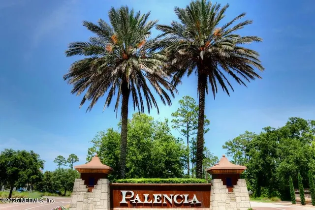a view of a park with plants and palm trees