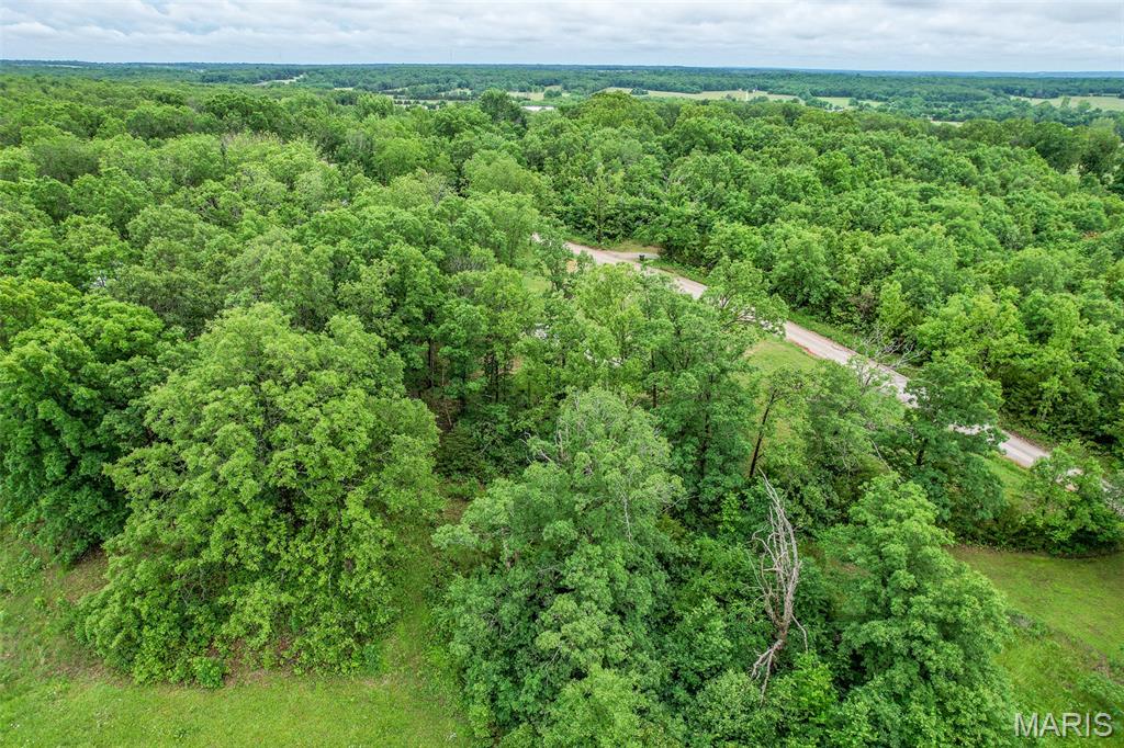 103 Handley Road Conway, MO 65632 - Photo 9 of 23