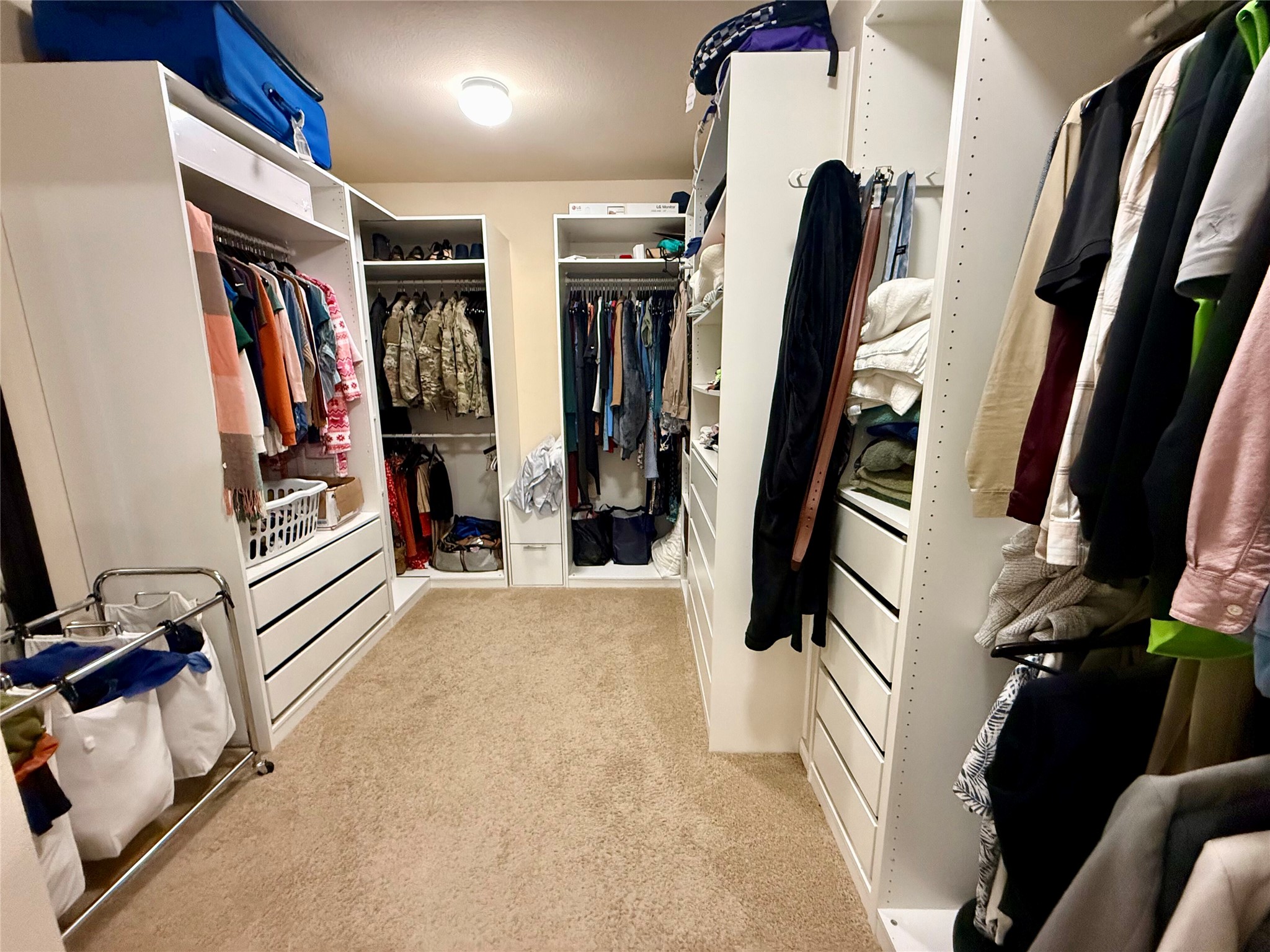 11700 Andesite Road Manor, TX 78653 - Photo 11 of 32 Ample built-in storage solutions and plush carpeting define this spacious closet, offering organized living.