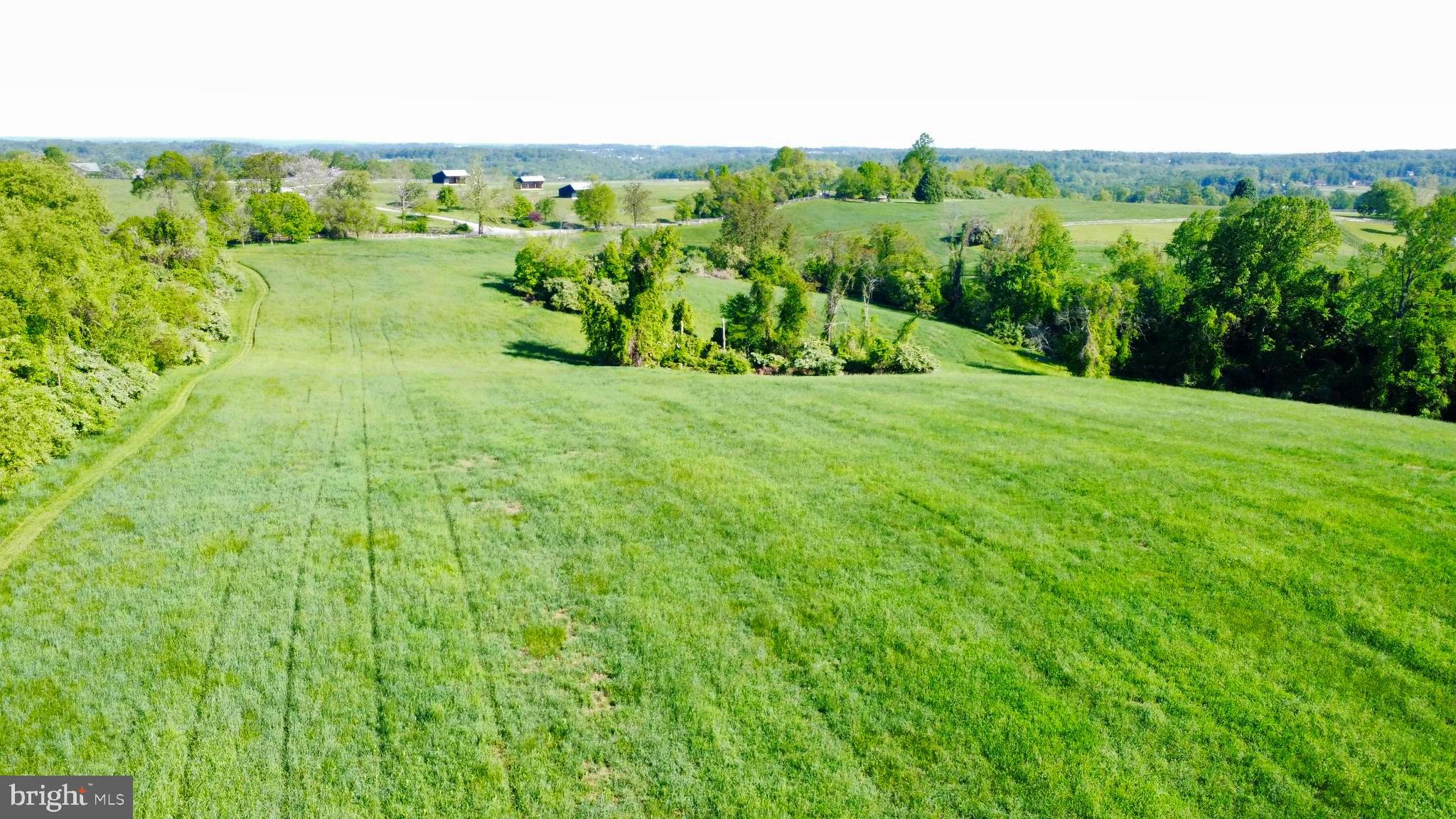2295 Hilltop View Road Coatesville, PA 19320 - Photo 7 of 11 a view of outdoor space and yard