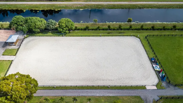 a view of a yard with plants