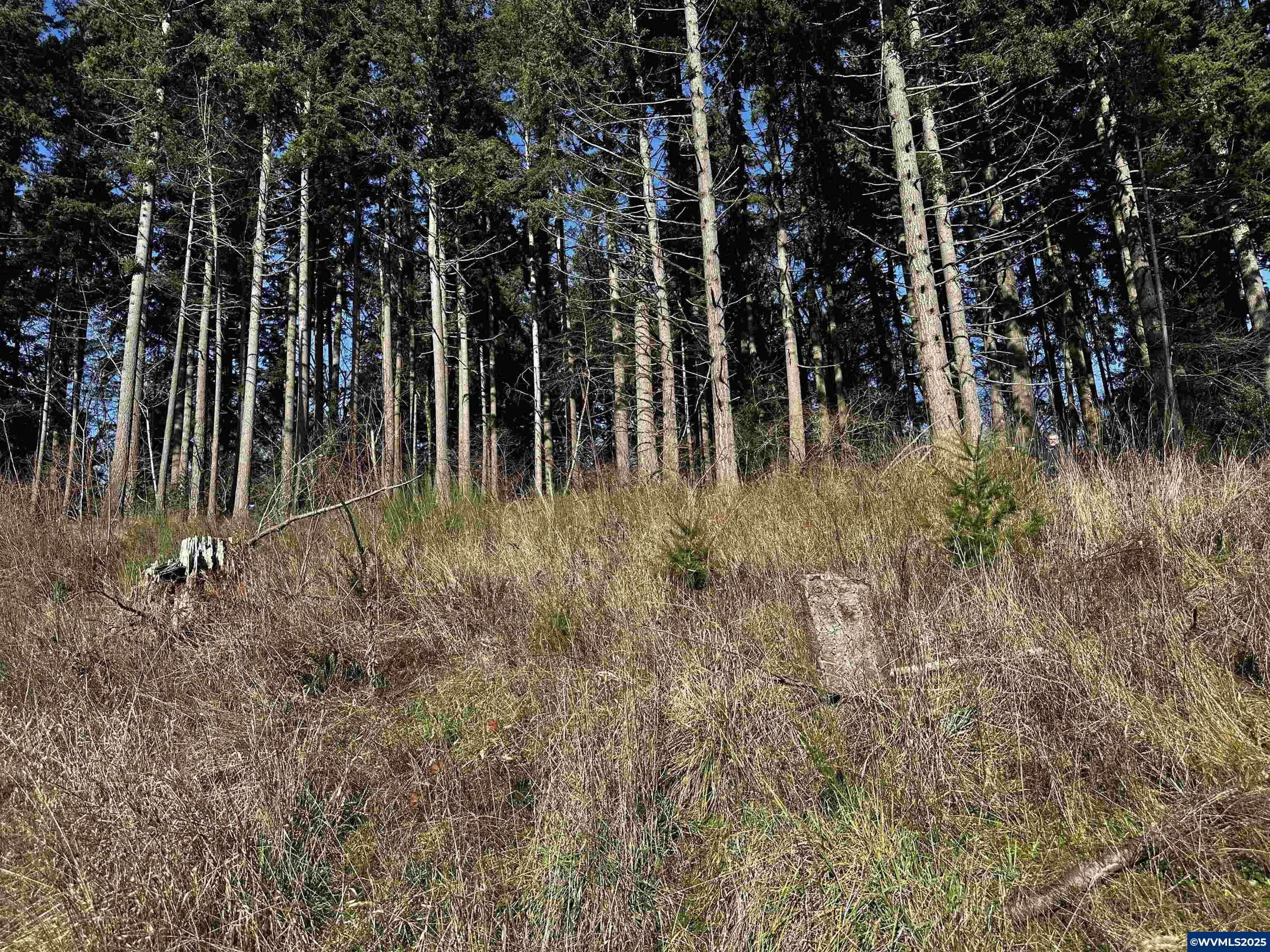 South Meyers (next To) Road Oregon City, OR 97045 - Photo 8 of 17