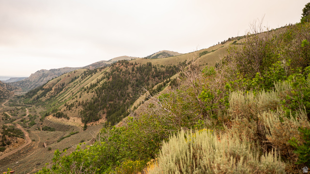 7500 Spring Canyon Road Helper, UT 84526 - Photo 56 of 64 Expansive mountain landscape featuring varied terrain, a winding valley floor, and diverse foliage including evergreen trees and scrub brush