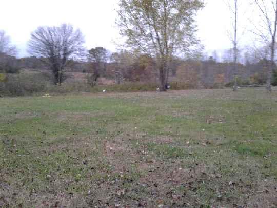 855 Rose Hill Road Pulaski, TN 38478 - Photo 3 of 18