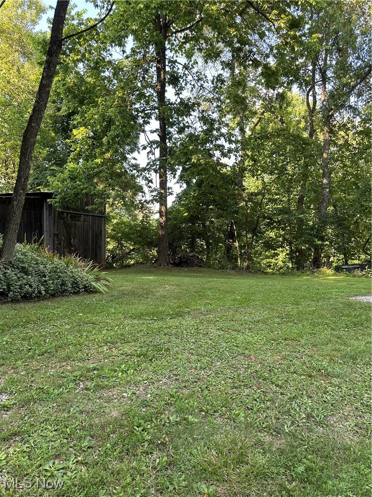 48864 Dry Ridge Road Clarington, OH 43915 - Photo 7 of 49 View of grassy yard featuring view of scattered trees, and horse barn.