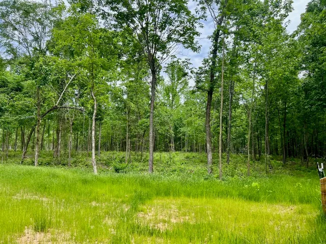 a view of outdoor space with deck and yard