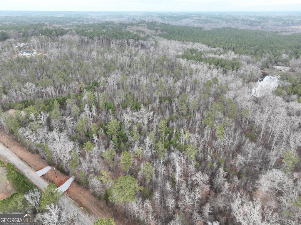 183 Rock Creek Road Flovilla, GA 30216 - Photo 8 of 10