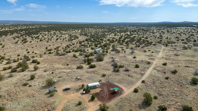 a view of a yard with a tree