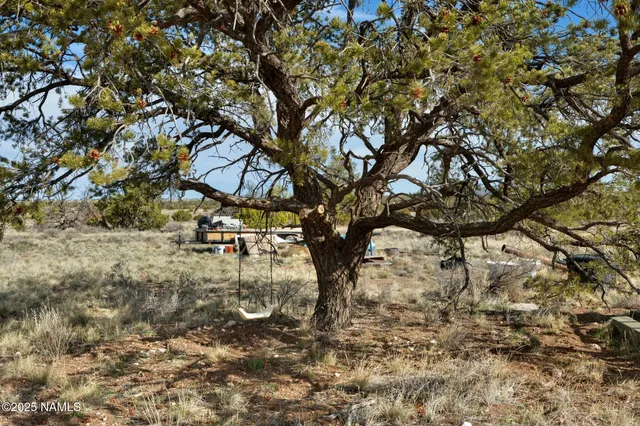 a view of an ocean beach