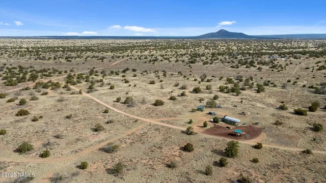 a view of a sky view in between of two large trees