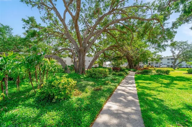 a view of a pathway both side of yard