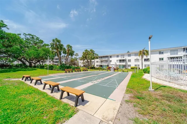 a view of a garden with plants
