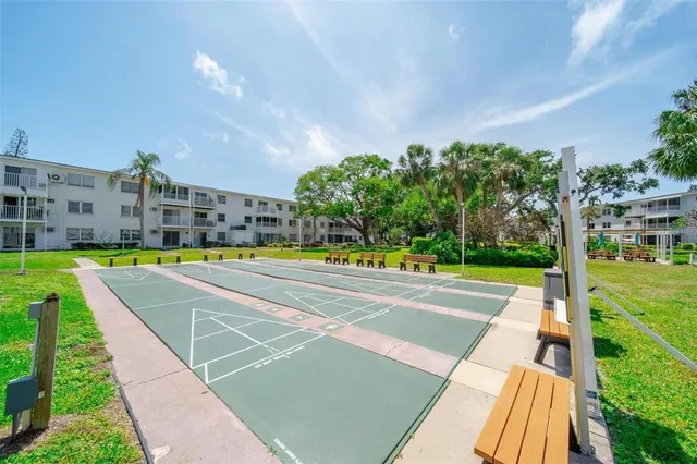a view of a bunch of flowers