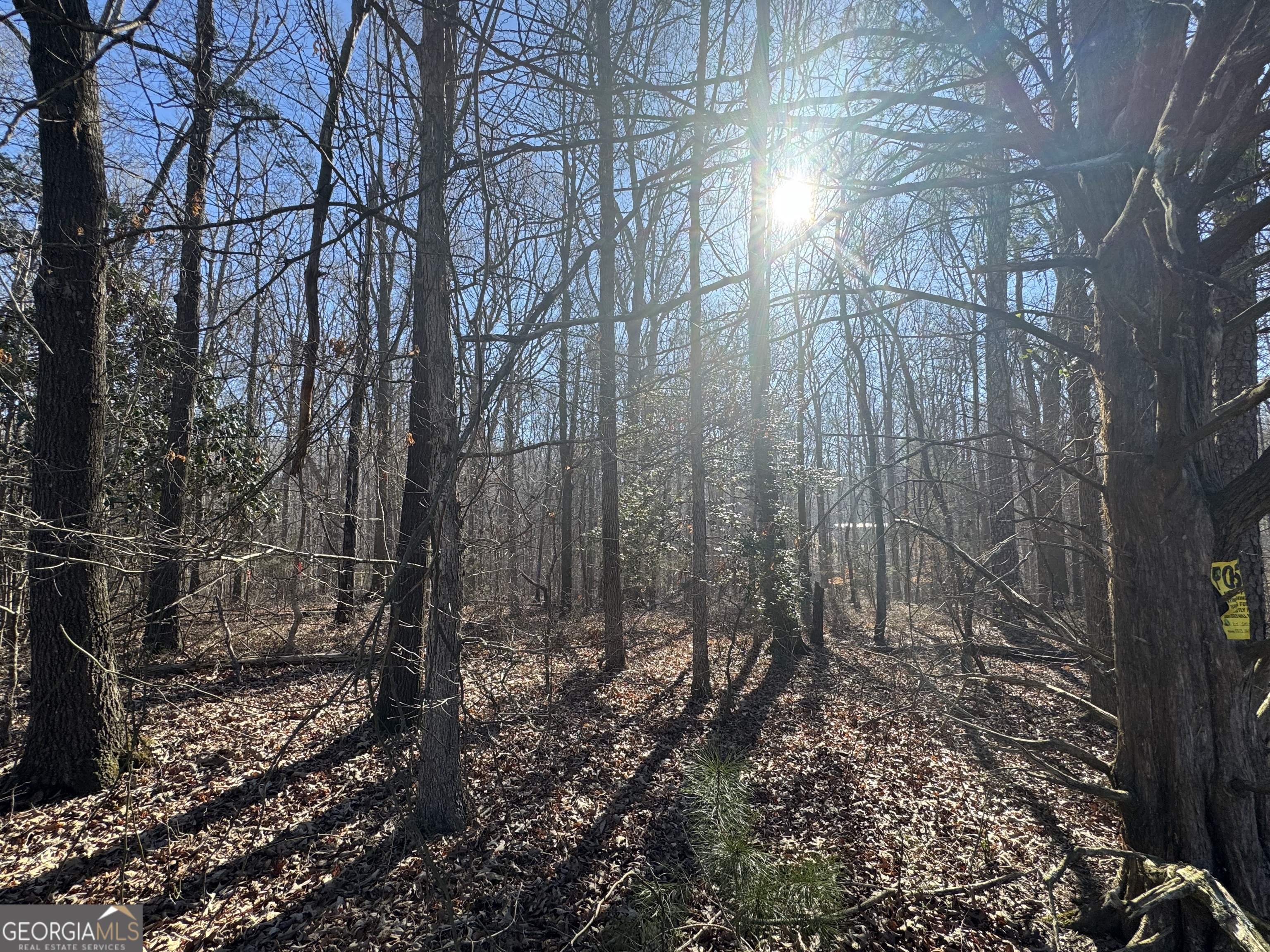 0 Murphy Road Carnesville, GA 30521 - Photo 2 of 2