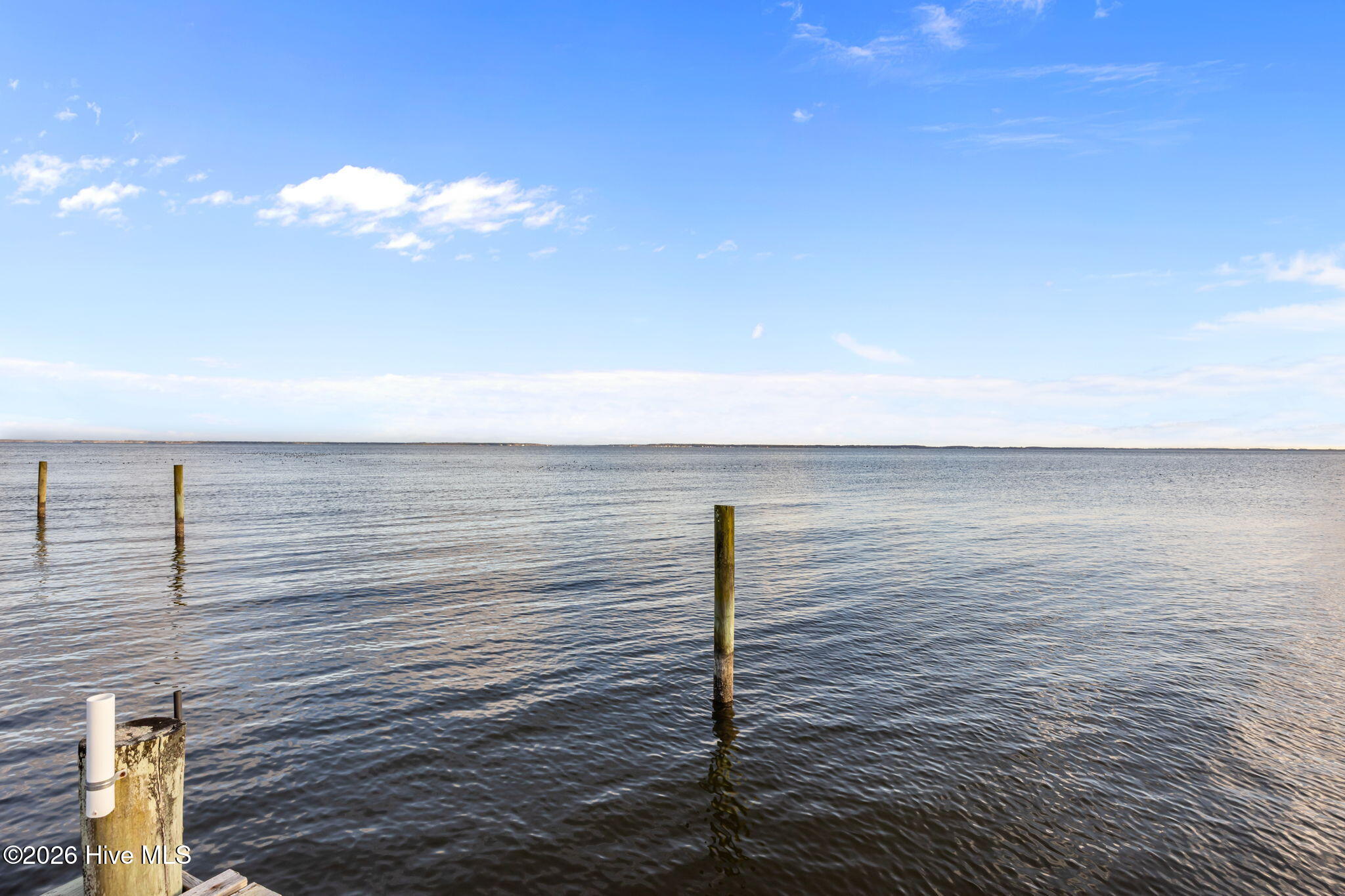 236 Morrison Road Oriental, NC 28571 - Photo 59 of 64 8-web-or-mls-0C0A2876