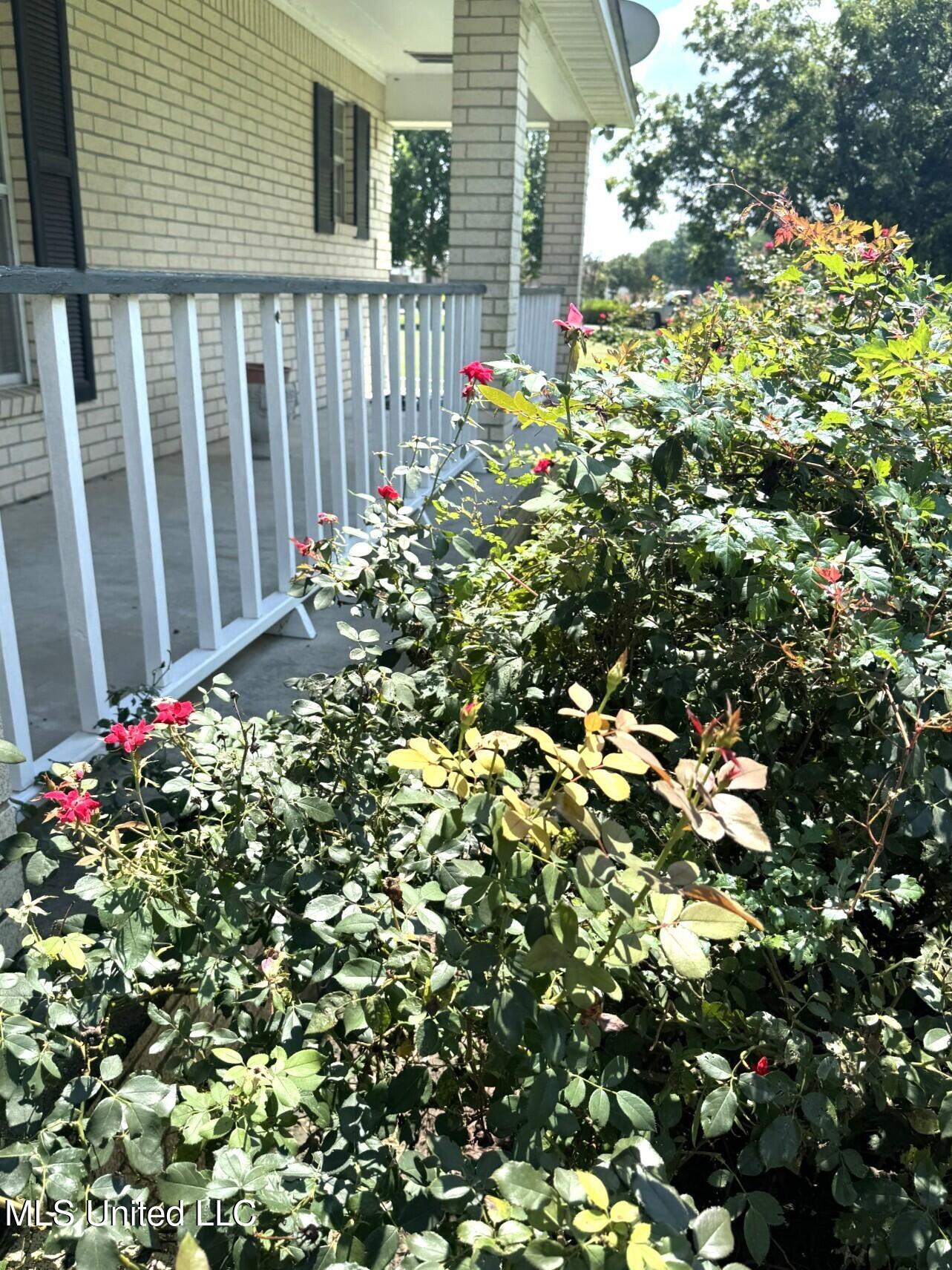 1603 State Rte 568 Ferriday, LA 71334 - Photo 49 of 55 thumbnail_IMG_3067.jpg 1603 bb