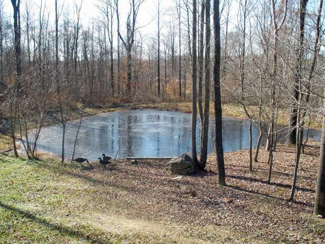 8401 Bullerdick Road Poland, IN 47868 - Photo 11 of 12 Gallery Image 11