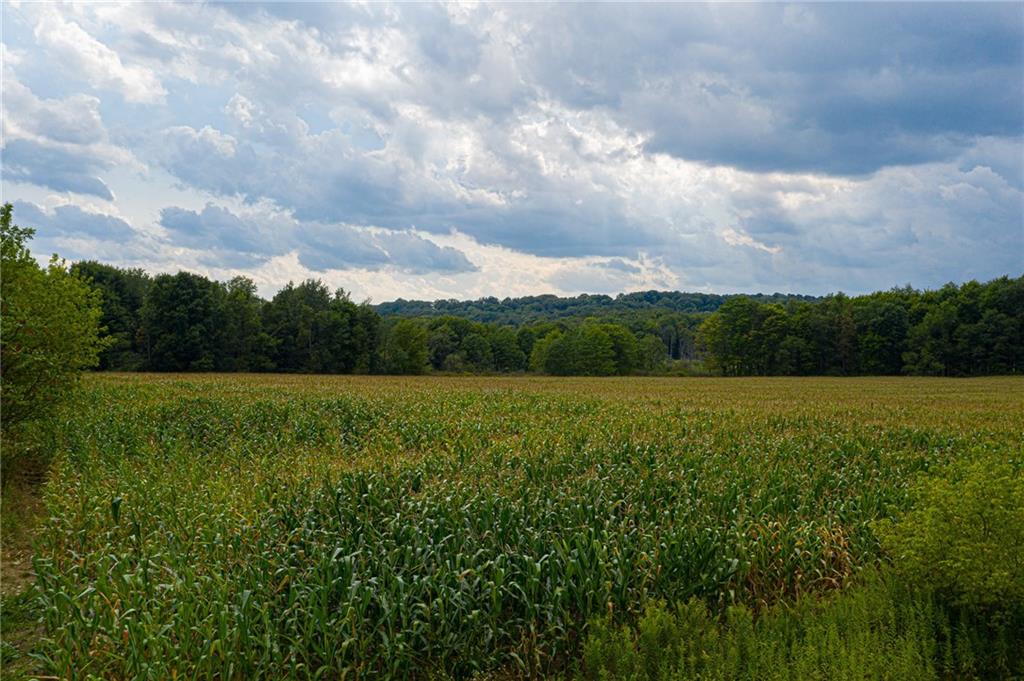 98 Steingrabe Road 85 FAL acres -small parcel on left where trees are,main acreage on the right. Frontage approximately 2800 ft.