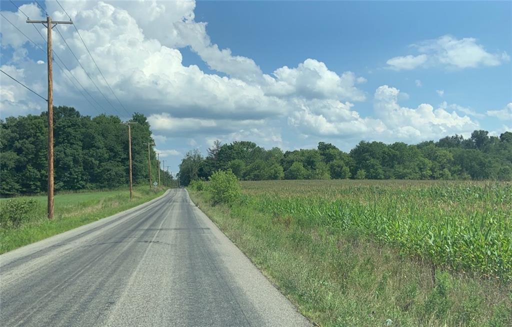 98 Steingrabe Road 85 FAL acres -small parcel on left where trees are,main acreage on the right.