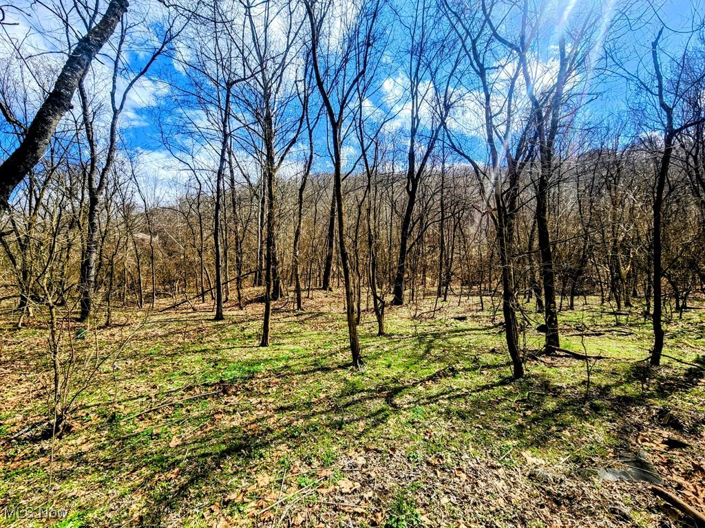 Kings Creek Road New Cumberland, WV 26047 - Photo 6 of 18