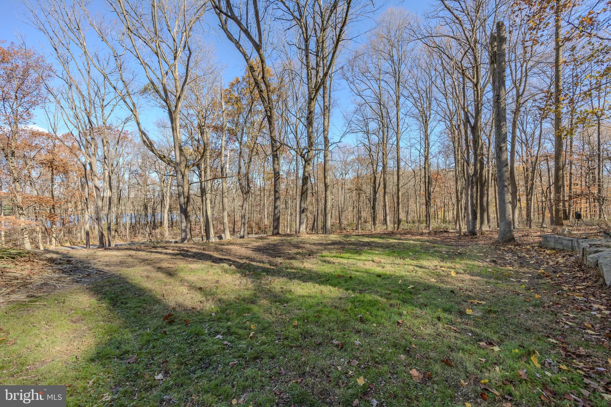 151 Bollinger Road Elverson, PA 19520 - Photo 26 of 37 Side Yard