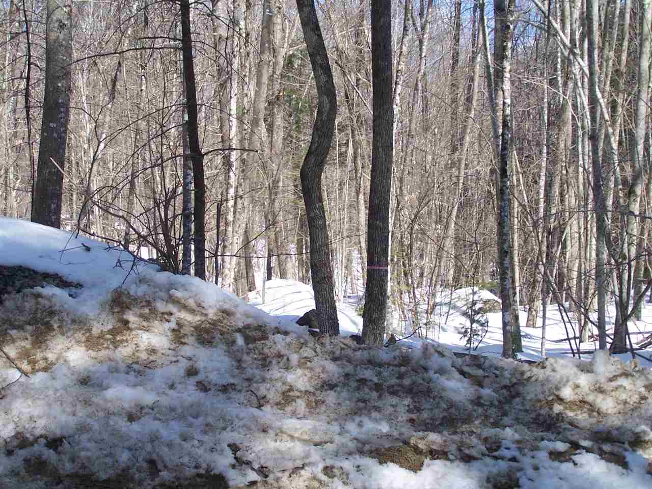 Colby Road Hillsborough, NH 03244 - Photo 3 of 8