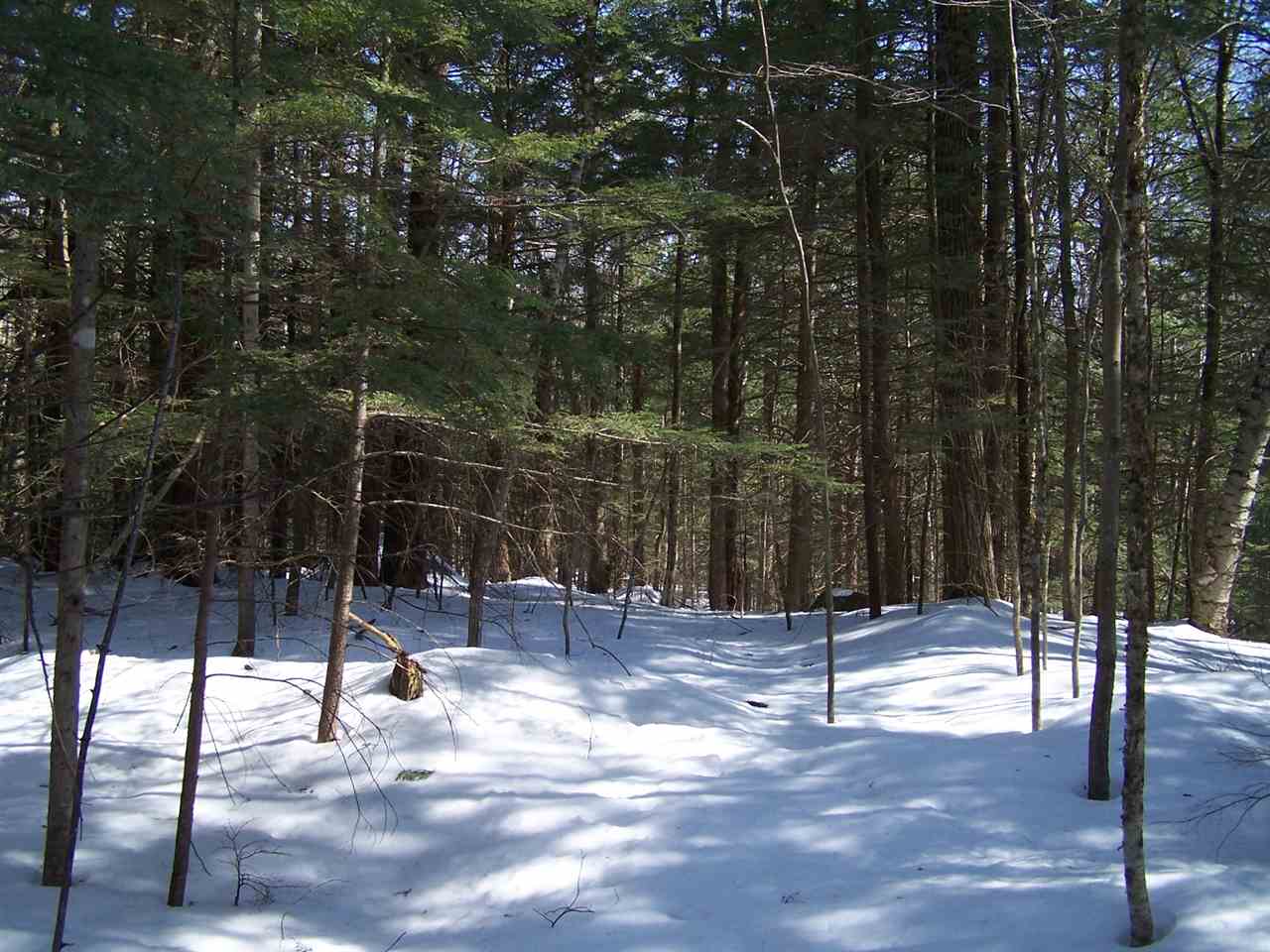 Colby Road Hillsborough, NH 03244 - Photo 5 of 8