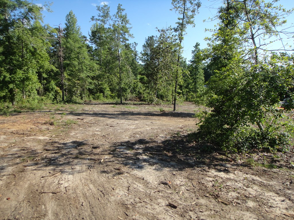 0 Otho Road Abbeville, AL 36310 - Photo 6 of 11