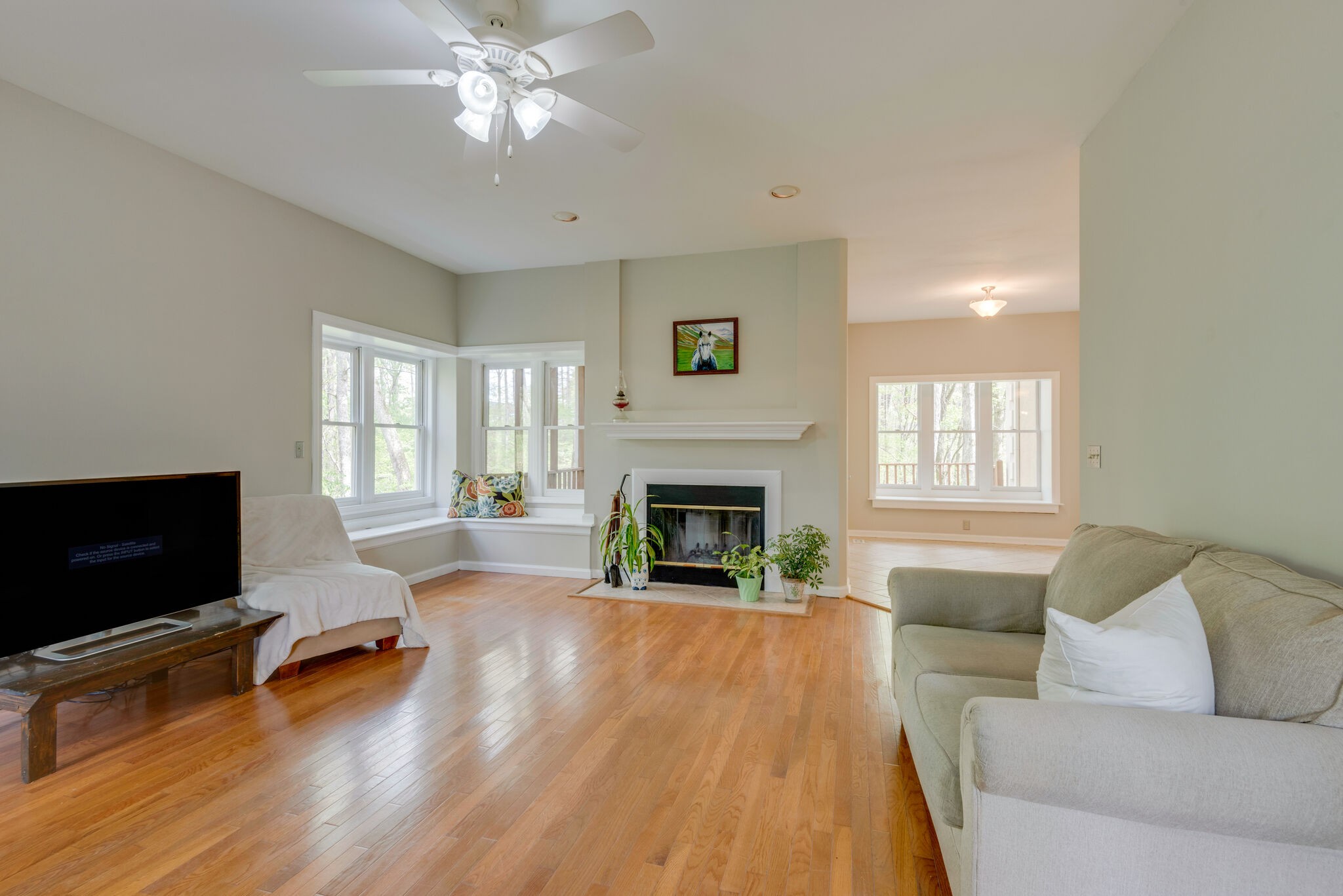 215 Brown Owl Road Fairview, TN 37062 - Photo 3 of 25 a living room with furniture and a fireplace