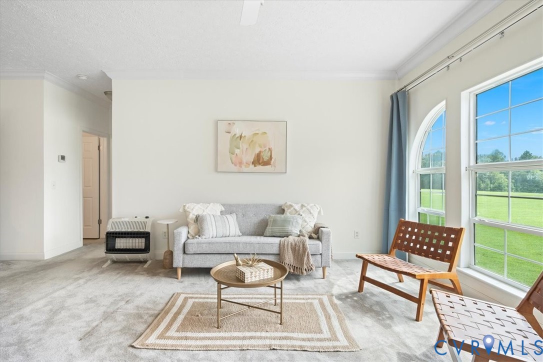 28231 Lewis Moore Road Ruther Glen, VA 22546 - Photo 19 of 50 a living room with furniture and a rug