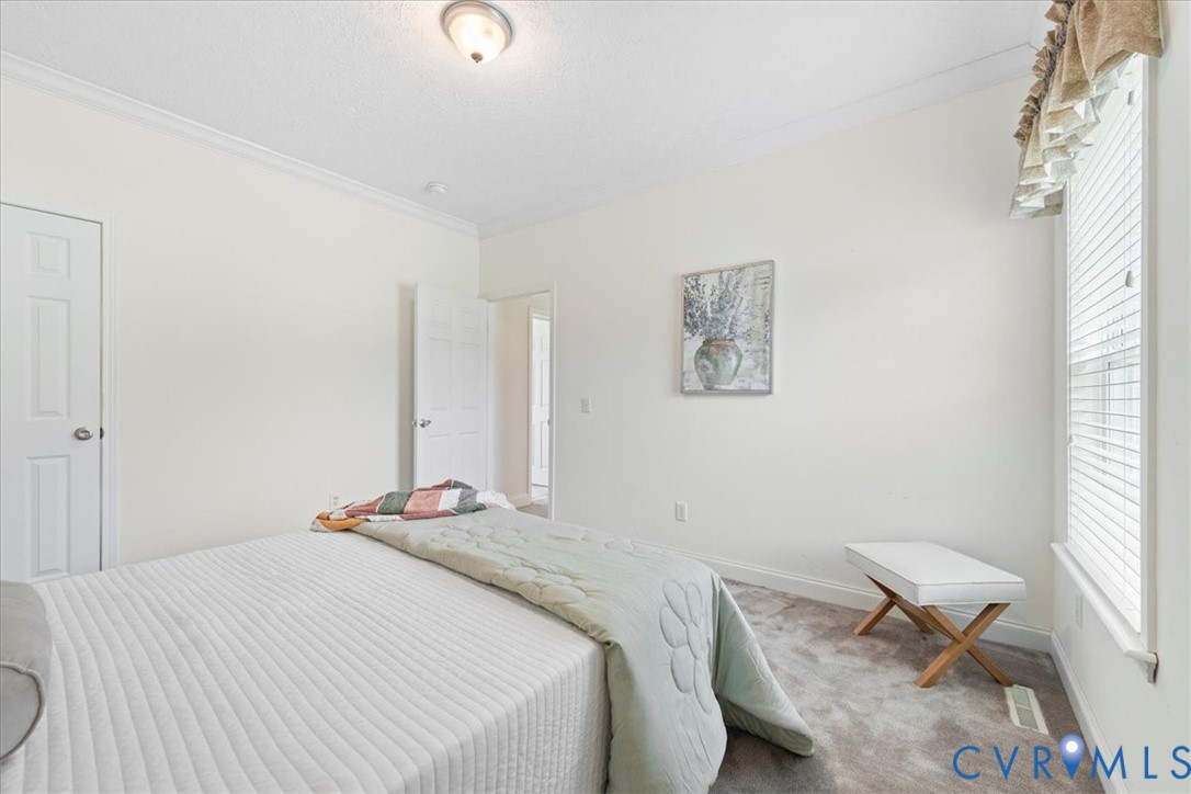 28231 Lewis Moore Road Ruther Glen, VA 22546 - Photo 28 of 50 Carpeted bedroom with crown molding and a textured