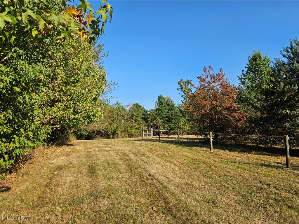 6155 Beach Road Wadsworth, OH 44281 - Photo 45 of 49 View of rear yard and pasture